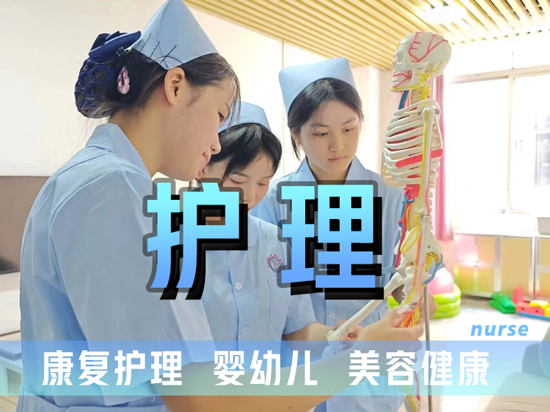 护理专业